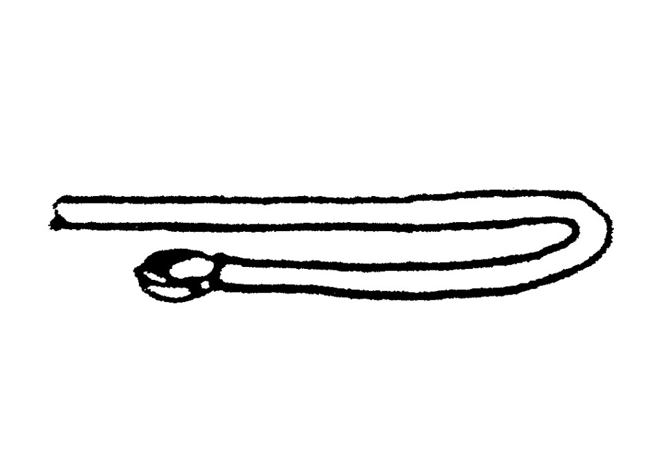 Harfenknoten Abbildung 1